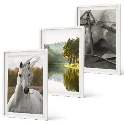 Set of 3 framed wall art pieces White horses river nature