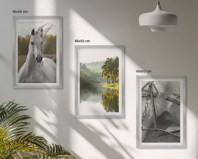 Set of 3 framed wall art pieces White horses river nature