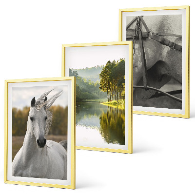 Set of 3 framed wall art pieces White horses river nature