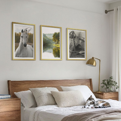 Set of 3 framed wall art pieces White horses river nature