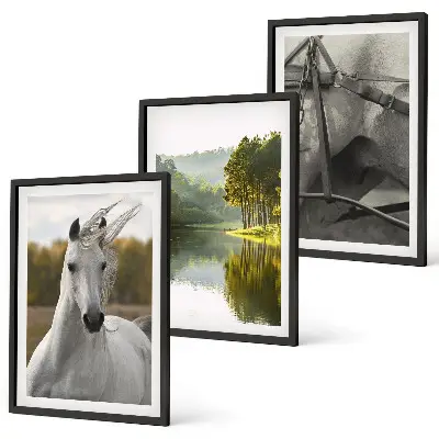 Set of 3 framed wall art pieces featuring white horses by the river in nature