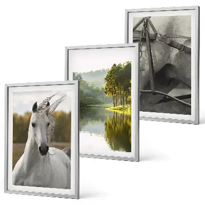 Set of 3 framed wall art pieces featuring white horses by the river in nature