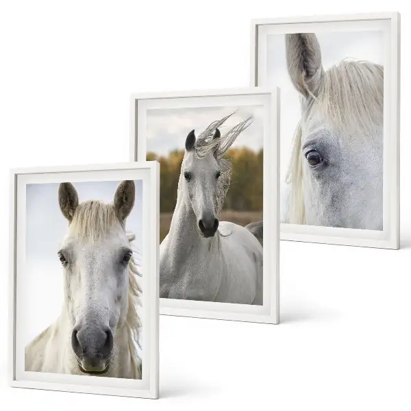 Set of 3 framed wall art pieces White horses in nature