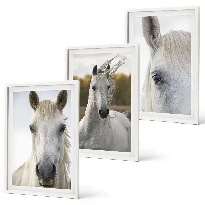 Set of 3 framed wall art pieces White horses in nature