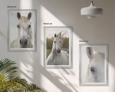 Set of 3 framed wall art pieces featuring white horses in nature