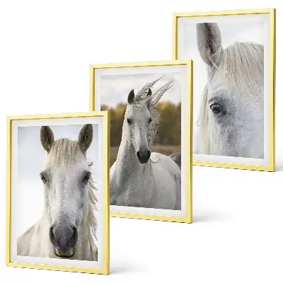 Set of 3 framed wall art pieces featuring white horses in nature