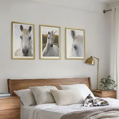 Set of 3 framed wall art pieces featuring white horses in nature