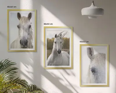 Set of 3 framed wall art pieces White horses in nature