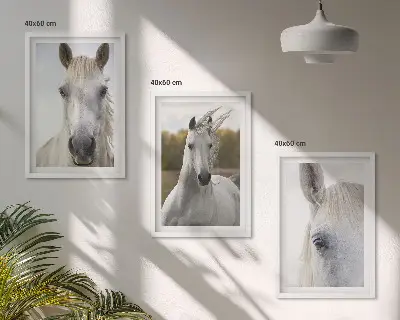 Set of 3 framed wall art pieces featuring white horses in nature