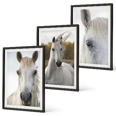 Set of 3 framed wall art pieces featuring white horses in nature