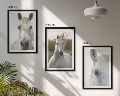 Set of 3 framed wall art pieces White horses in nature