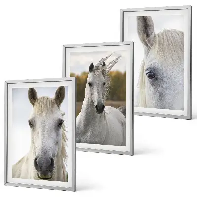 Set of 3 framed wall art pieces White horses in nature
