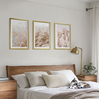 Set of 3 framed wall art pieces Fields of grass in brown and beige