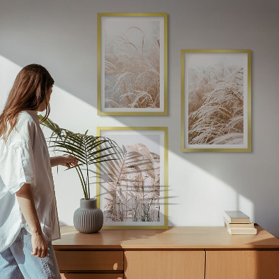 Set of 3 framed wall art pieces Fields of grass in brown and beige