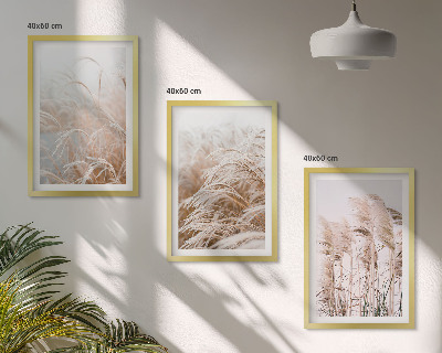 Set of 3 framed wall art pieces Fields of grass in brown and beige
