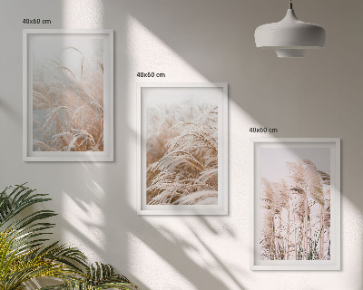Set of 3 framed wall art pieces Fields of grass in brown and beige