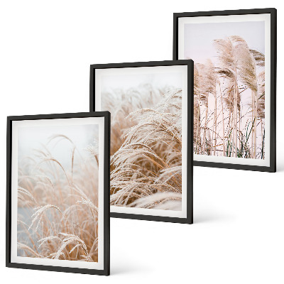 Set of 3 framed wall art pieces Fields of grass in brown and beige