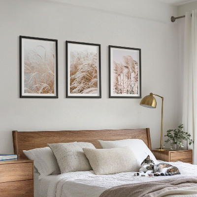 Set of 3 framed wall art pieces Fields of grass in brown and beige