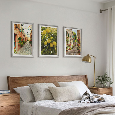 Set of 3 framed wall art pieces Streets with lemon flowers in the background