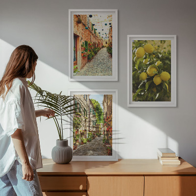 Set of 3 framed wall art pieces Streets with lemon flowers in the background