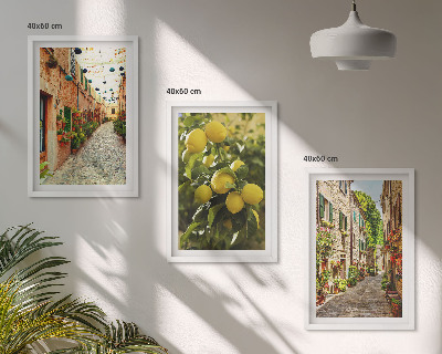 Set of 3 framed wall art pieces Streets with lemon flowers in the background