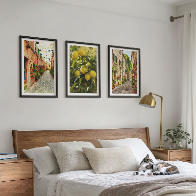 Set of 3 framed wall art pieces Streets with lemon flowers in the background