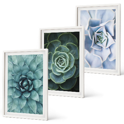 Set of 3 framed wall art pieces Succulent plants green turquoise