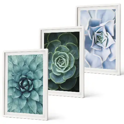 Set of 3 framed wall art pieces succulent plants in green and turquoise