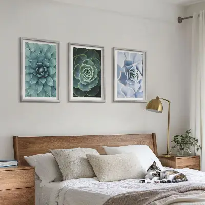 Set of 3 framed wall art pieces succulent plants in green and turquoise