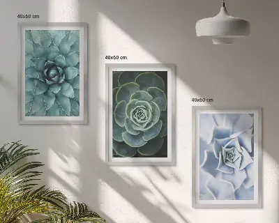 Set of 3 framed wall art pieces succulent plants in green and turquoise