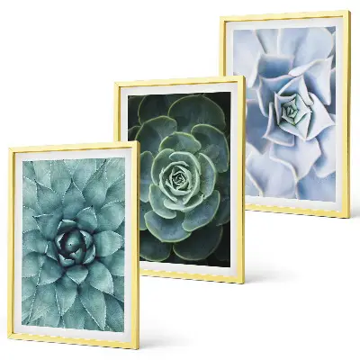 Set of 3 framed wall art pieces succulent plants in green and turquoise