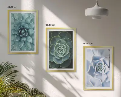 Set of 3 framed wall art pieces succulent plants in green and turquoise