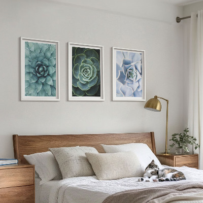 Set of 3 framed wall art pieces Succulent plants green turquoise