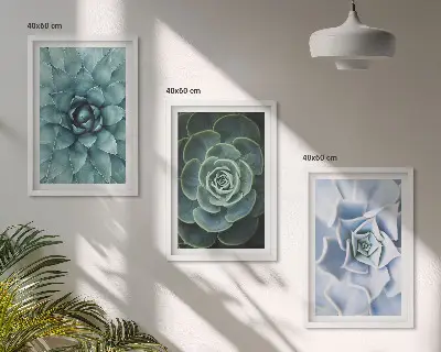Set of 3 framed wall art pieces succulent plants in green and turquoise