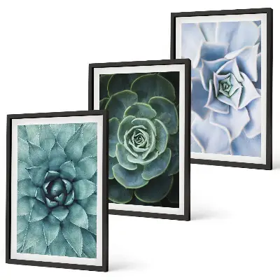 Set of 3 framed wall art pieces succulent plants in green and turquoise