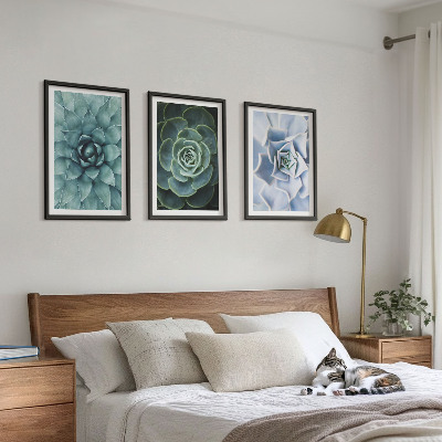 Set of 3 framed wall art pieces Succulent plants green turquoise
