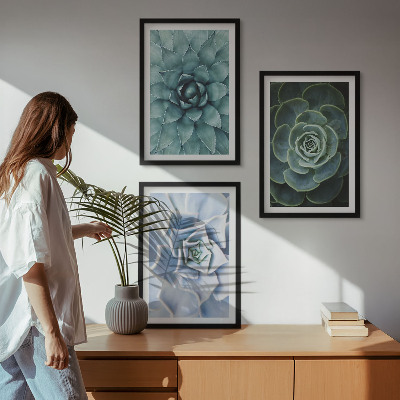 Set of 3 framed wall art pieces Succulent plants green turquoise