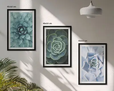 Set of 3 framed wall art pieces succulent plants in green and turquoise