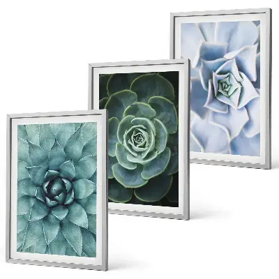Set of 3 framed wall art pieces succulent plants in green and turquoise