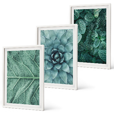 Wall art set Close-up of plant leaves