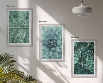 Wall art set Close-up of plant leaves