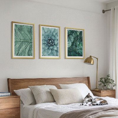 Wall art set Close-up of plant leaves
