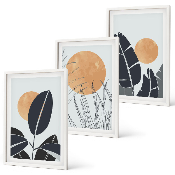 Set of 3 framed wall art pieces Plant patterns large suns minimalist