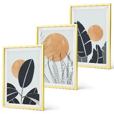 Set of 3 framed wall art pieces minimalist large sun plant patterns