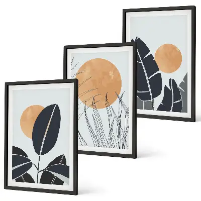 Set of 3 framed wall art pieces minimalist large sun plant patterns