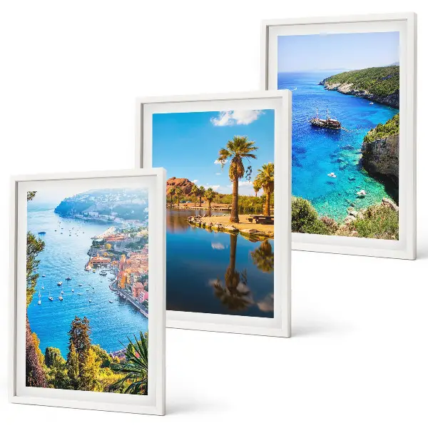 Three-piece seaside palm trees wall art with blue water view