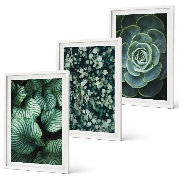 Wall art set green leaves succulent style