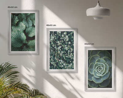 Wall art set Green leaves succulents style