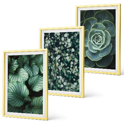 Wall art set Green leaves succulents style