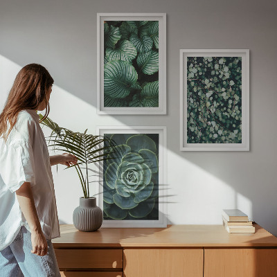Wall art set Green leaves succulents style